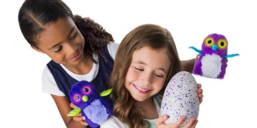 Walmart.com: Hatchimals Hatching Eggs Only $59.99 Shipped (Back in Stock)