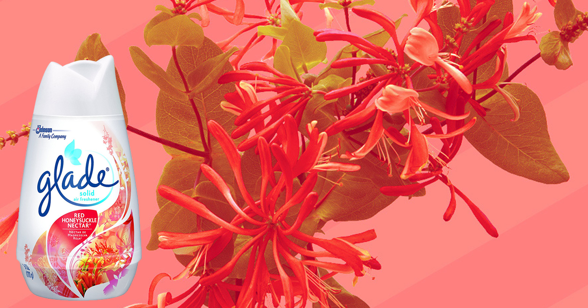 Amazon Glade Honeysuckle Nectar Solid Air Freshener Only 97¢ Shipped