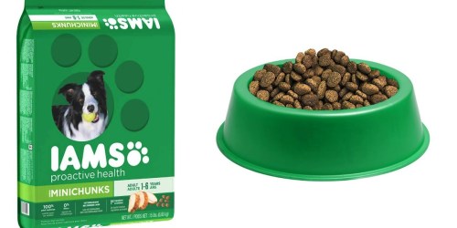 Amazon: Iams Proactive Health  Dry Dog Food 15-Pound Bag Only $10 Shipped