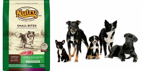 Amazon: NUTRO Adult 30 Pound Small Bites Dry Dog Food Only $30.20 Shipped (Regularly $52.99)