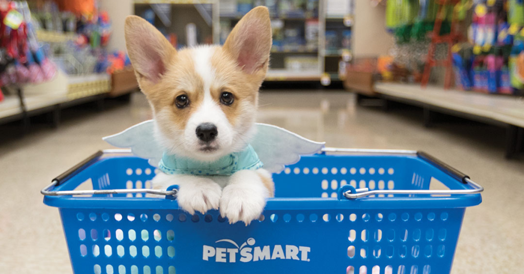 PetSmart 2016 Puppy Guide Filled with 250 in Coupons ONLY 19.99