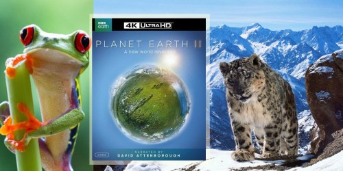Amazon Prime: Planet Earth II Ultra HD Digital Copy Just $14.99 (Regularly $29)