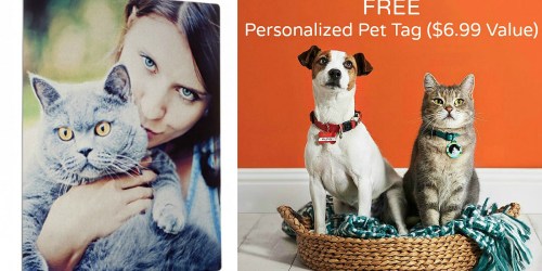 Shutterfly: FREE Pet Tag or 16×20 Photo Print (Up to $17.99 Value) – Just Pay Shipping