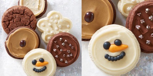 Cheryl’s Cookies: 6-Piece Winter Cookie Sampler ONLY $12.99 Shipped