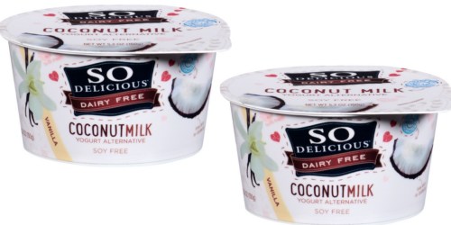 Target: So Delicious Dairy Free Coconut Milk Yogurt Only 83¢ Each