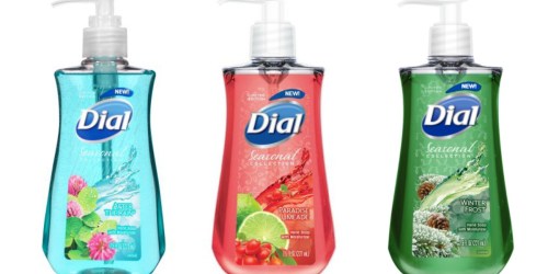 Target Shoppers! Save 50% Off Dial Seasonal Liquid Hand Soap (Only 74¢ Per Bottle!)