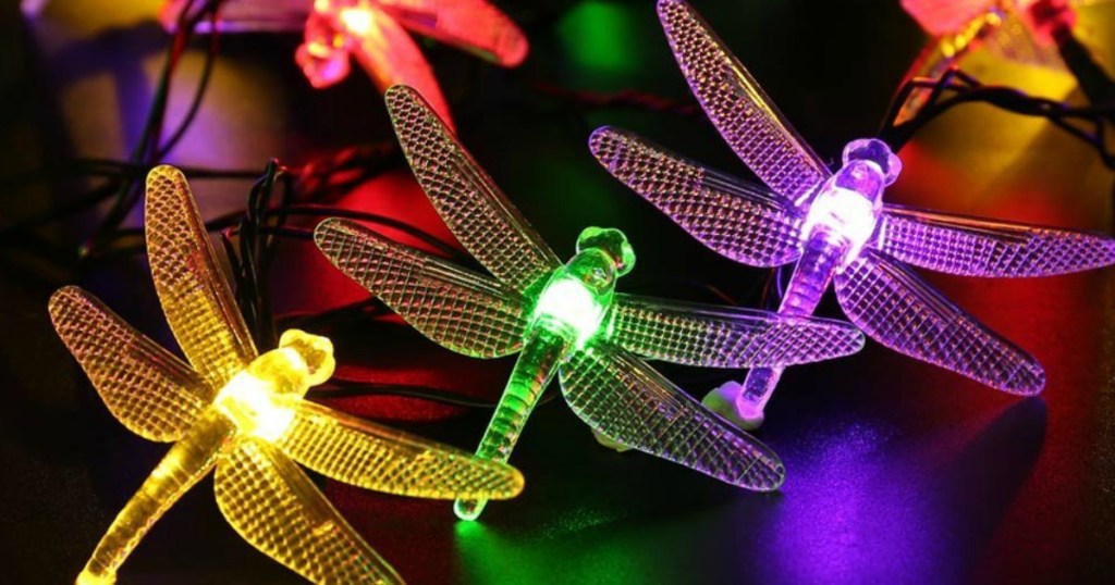 dragonfly-lights