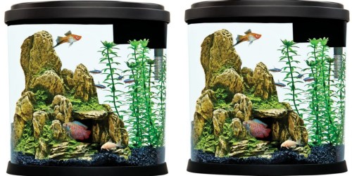 PetSmart.com: 3.5-Gallon Top Fin Enchant Aquarium Only $14.99 (Regularly $29.99)