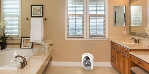 Holmes Bathroom Safe Heaters Two Pack Only $39.99 Shipped (Regularly $66) – Just $20 Each