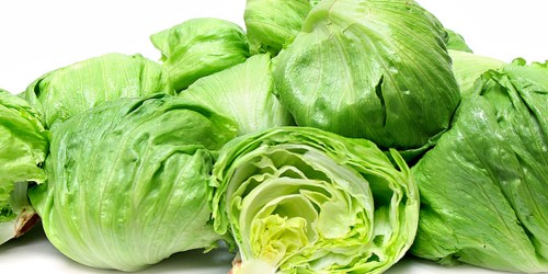 Request FREE Lettuce Seeds (1st 30,000)