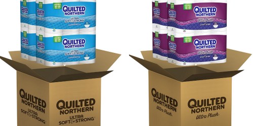 Amazon: Quilted Northern 48-Count Toilet Paper Just 44¢ Per Double Roll + Kleenex Only 83¢ Per Box