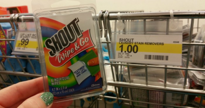 shout-wipes