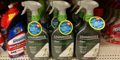 High Value $2/1 Stainmaster Pet Stain Remover Coupon = Only $1.74 at Target