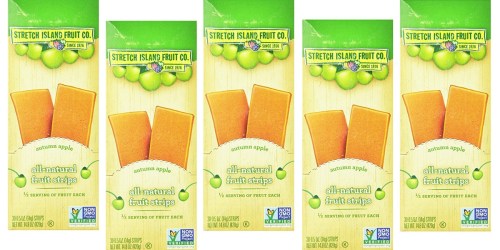Amazon: 30 Pack of Stretch Island All-Natural Fruit Strips ONLY $7.65 Shipped