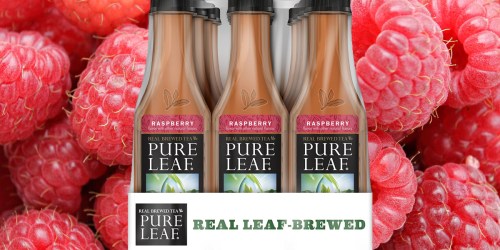 Amazon: Pure Leaf Iced Raspberry Tea 12-Pack Only $7.47 Shipped (Just 62¢ Each)