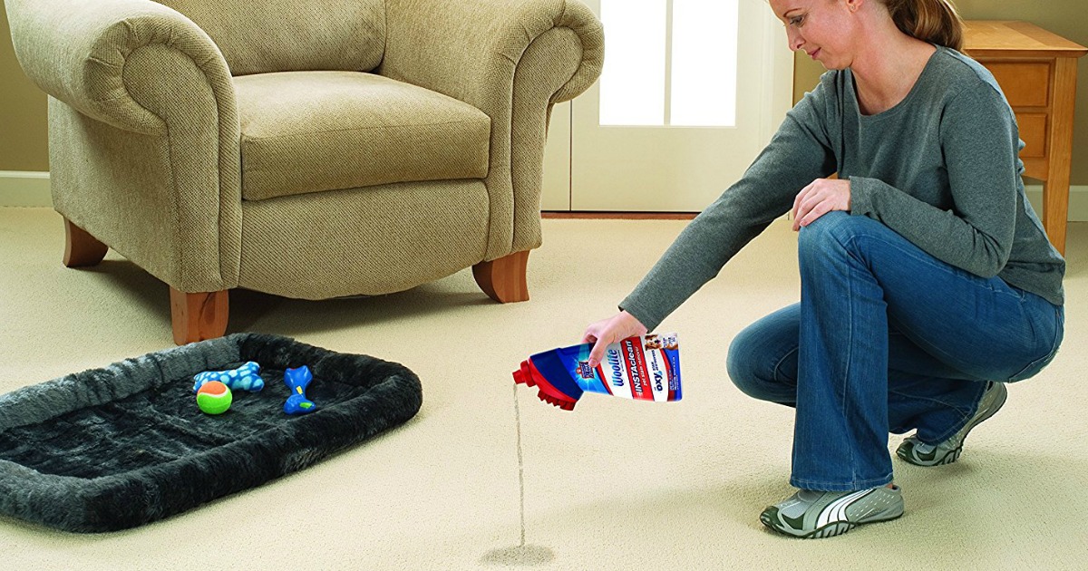 Amazon Bissell Woolite Instaclean Pet with Brush Head Cleaner Only 1.