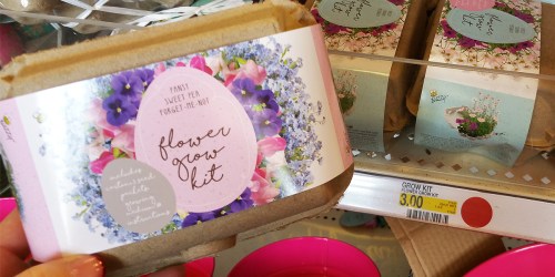 Target Shoppers! Cute Spring & Gardening Items Only $1-$3
