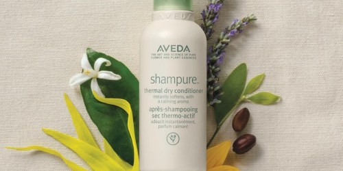 $25 Off $75 Aveda Purchase + FREE Foot & Hand Creme Travel Size Duo