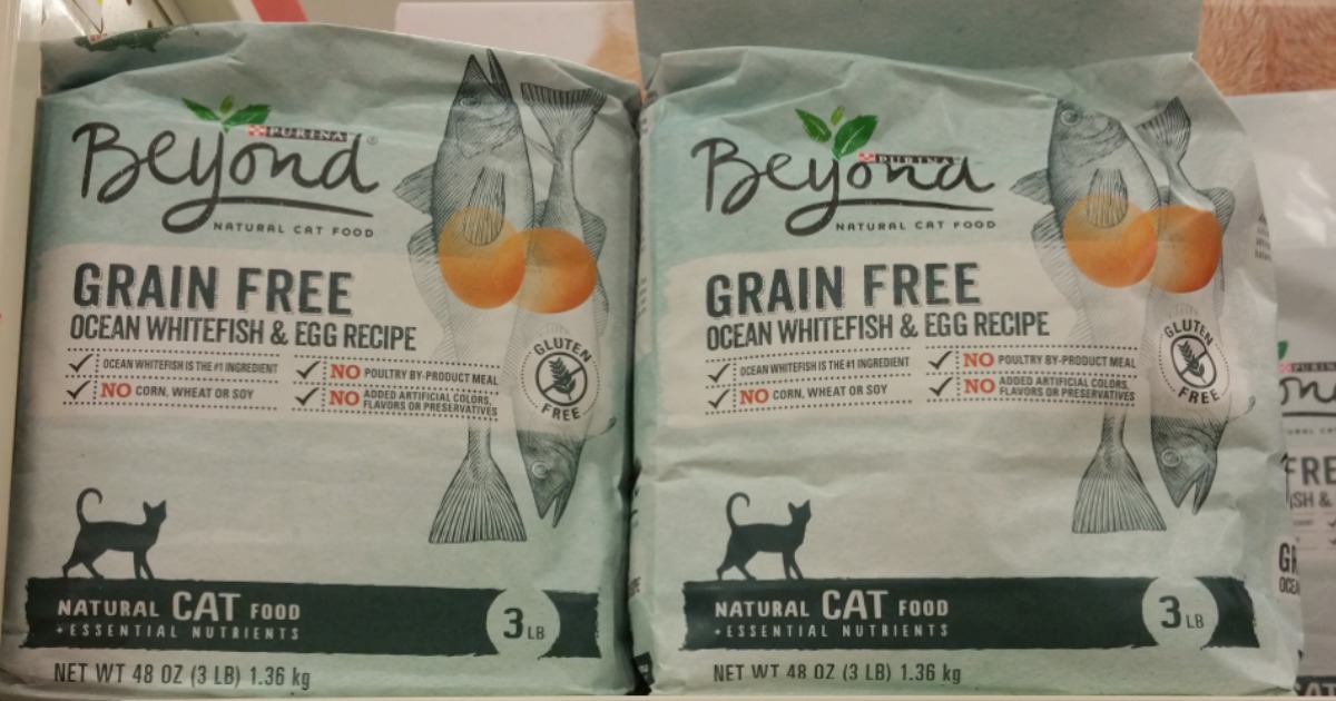 beyond cat food target