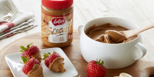 Target: 40% Off Biscoff Cookie Butter Spread & Lotus Cookies (No Coupons Needed)
