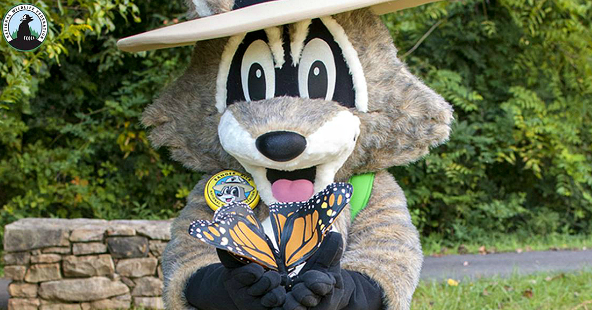 Request FREE Butterfly Garden Starter Kit