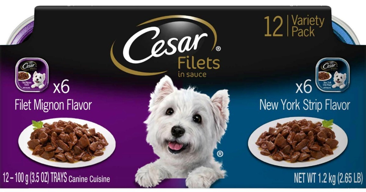 Amazon: Cesar Filets Wet Dog Food 12-Pack Only $6.38 ...