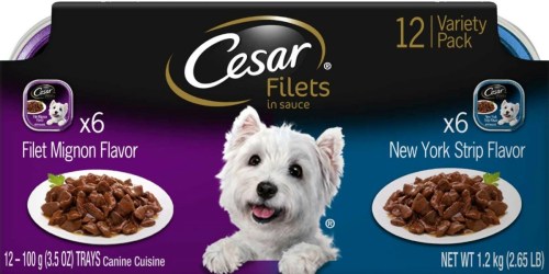 Amazon: Cesar Filets Wet Dog Food 12-Pack Only $6.38 Shipped (Just 53¢ Per Tray)