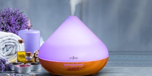 Amazon: Essential Oil Diffuser, Humidifier, Air Purifier and Nightlight Only $24.79