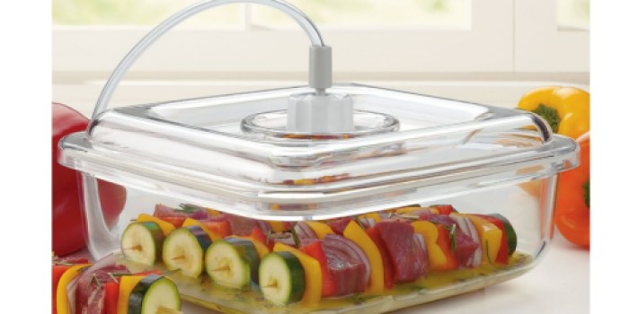 FoodSaver Quick Marinator Only $11.99 Shipped (Regularly $21.99)
