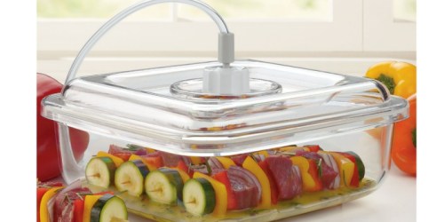 FoodSaver Quick Marinator Only $11.99 Shipped (Regularly $21.99)