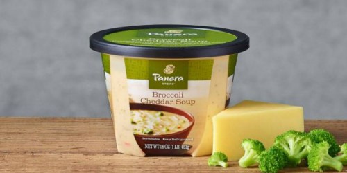 Target Shoppers! Panera at Home Refrigerated Soup Just $2.99 Each (Regularly $5.49)