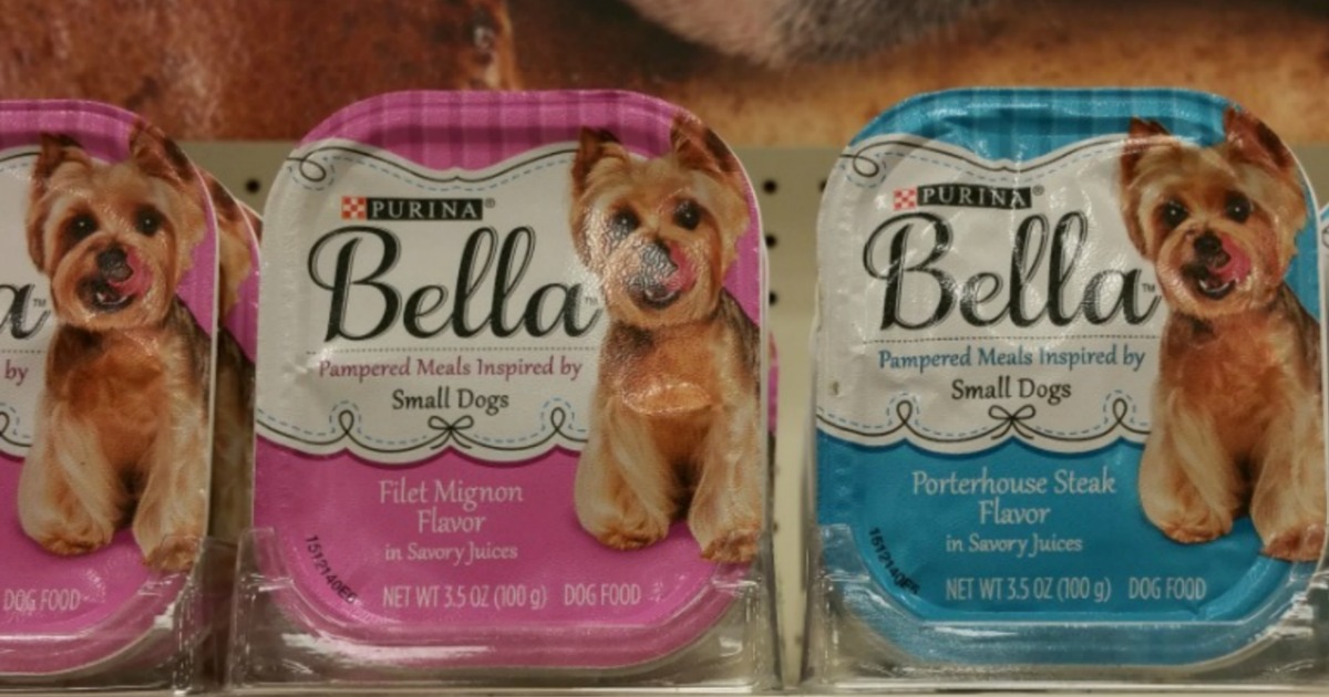 target dog food sale