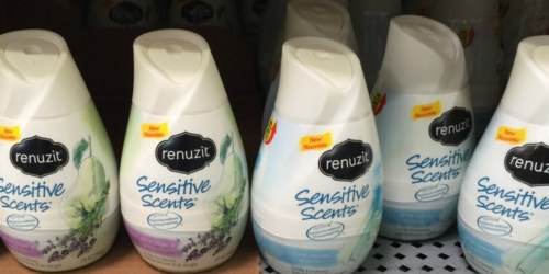 Get Rid of Stinky Smells! Renuzit Cones as Low as 52¢ Each at Walgreens