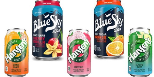 Amazon: Blue Sky & Hansen’s Cane Sugar Soda 24-Packs ONLY $9.04 Shipped (Just 38¢ Per Can)