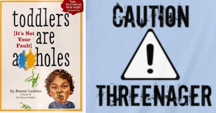 toddlers-are-assholes-book