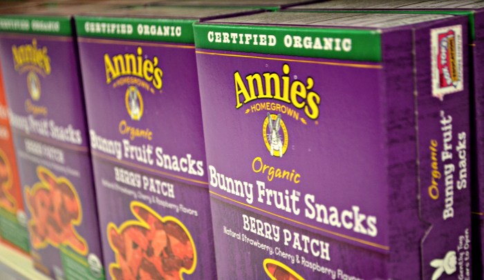 Annie's Fruit Snacks 