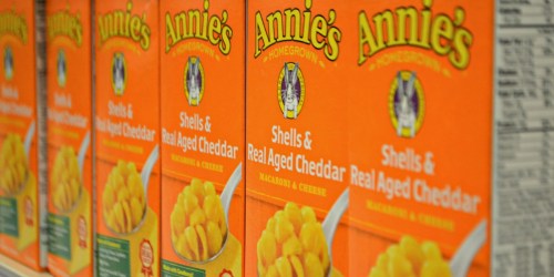 Amazon Prime: Annie’s Shells & Cheddar 12-Pack Just $9.29 Shipped (Only 77¢ Per Box) + More