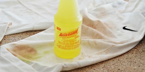This Game-Changing Spot Cleaner is Truly Totally Awesome! (ONLY $1)