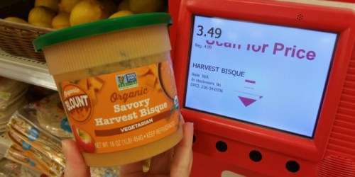 NEW $1.50/1 Blount Organic Soup Coupon = 16 oz Soup Only $1.99 at Target