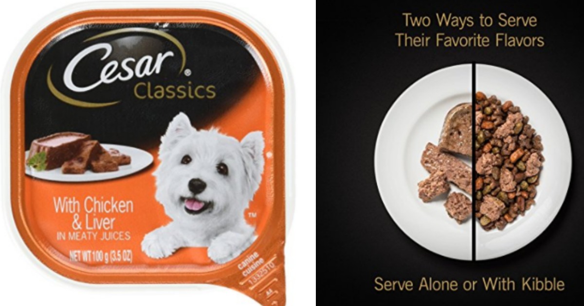 Amazon Cesar Classics Adult Wet Dog Food 24Pack Just 9.52 Shipped