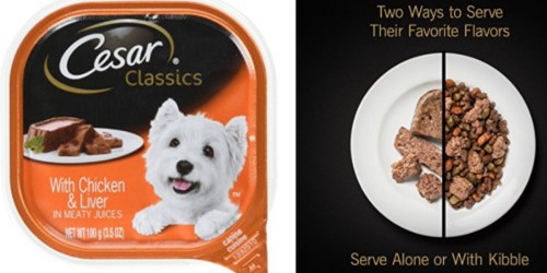 Amazon: Cesar Classics Adult Wet Dog Food 24-Pack Just $9.52 Shipped (40¢ Each)