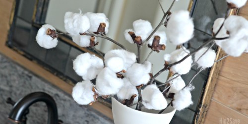 Make Trendy Cotton Stem Branches for Pennies
