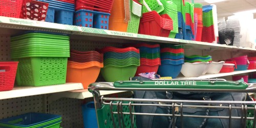 GET ORGANIZED! 10 Storage Solutions ONLY $1 Each at Dollar Tree