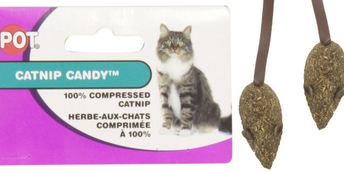 Amazon: Ethical Pet 100% Catnip Mice Cat Toys 2-Count Only $1.84 (Regularly $4.05)