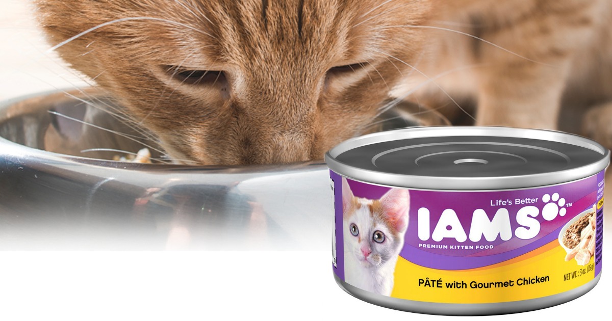 Amazon IAMS Pate Wet Cat Food 24Pack Only 8.19 Shipped (34¢ Per Can