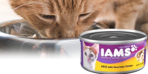 Amazon: IAMS Pate Wet Cat Food 24-Pack Only $8.19 Shipped (34¢ Per Can) & More