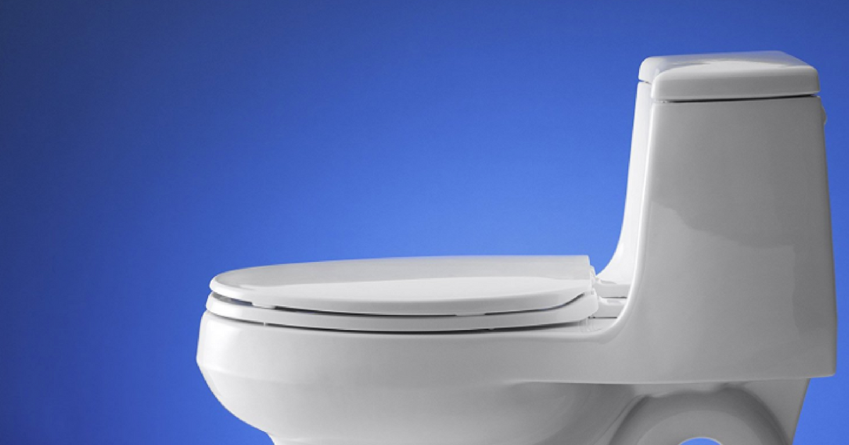 Amazon: Kohler Quick-Release Toilet Seat Only $14 (Best Price) • Hip2Save