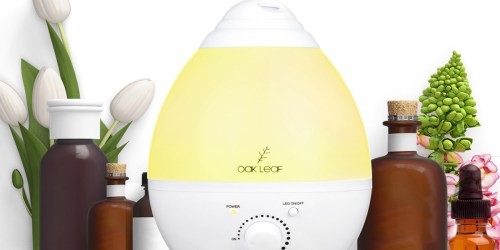 Amazon: Humidifier/Diffuser Only $16.99, 6-Piece Essential Oil Set Just $9.99 Shipped & More