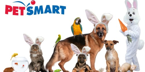 PetSmart: Free Photo Of Your Pet With the Easter Bunny (April 8th)