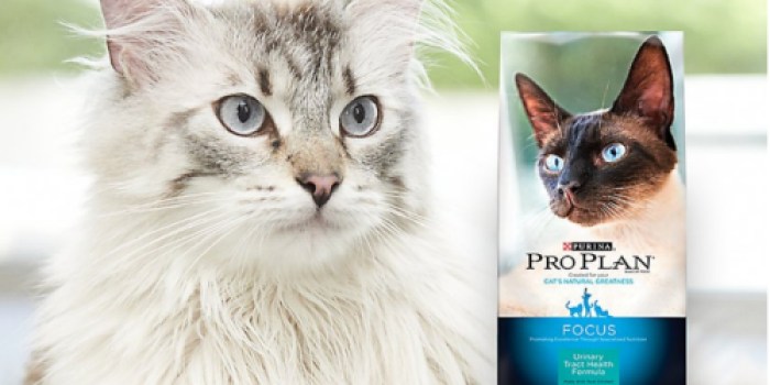 New $5/1 Purina ProPlan Cat Food Coupon – Valid on ANY Size & ANY Formula